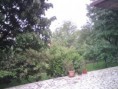 /album/photogallery/lawn-jpg/
